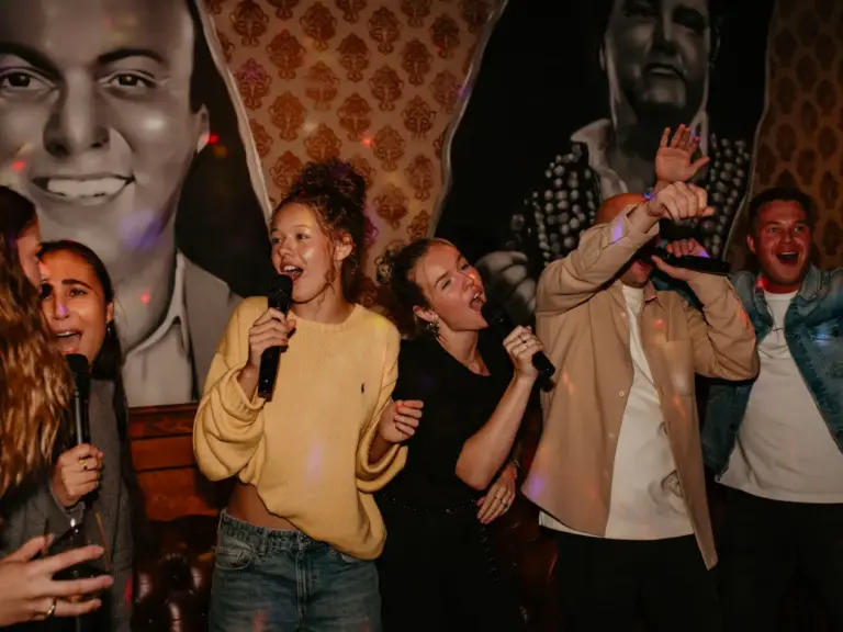 Alkmaar-private-karaoke-bruin-cafe